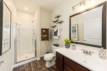vanity and shower in bathroom - Photo Gallery 28