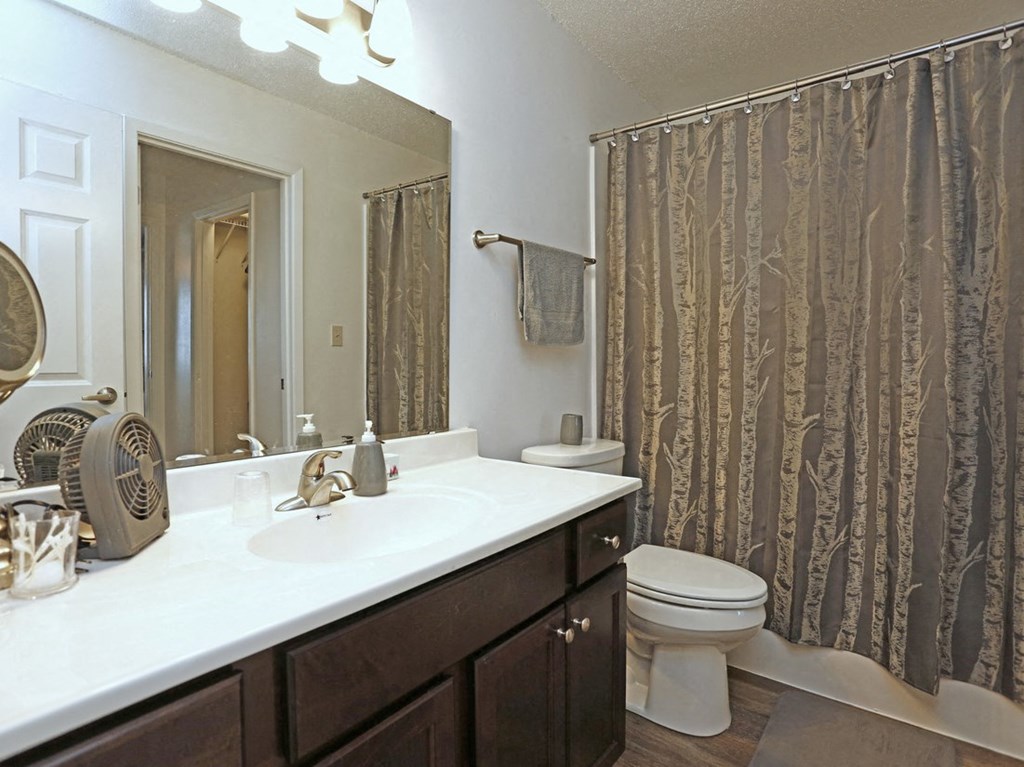 Spring Creek 2BR Remodel - Bathroom at Spring Creek Townhomes, Springfield