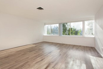 Open Space Living Room