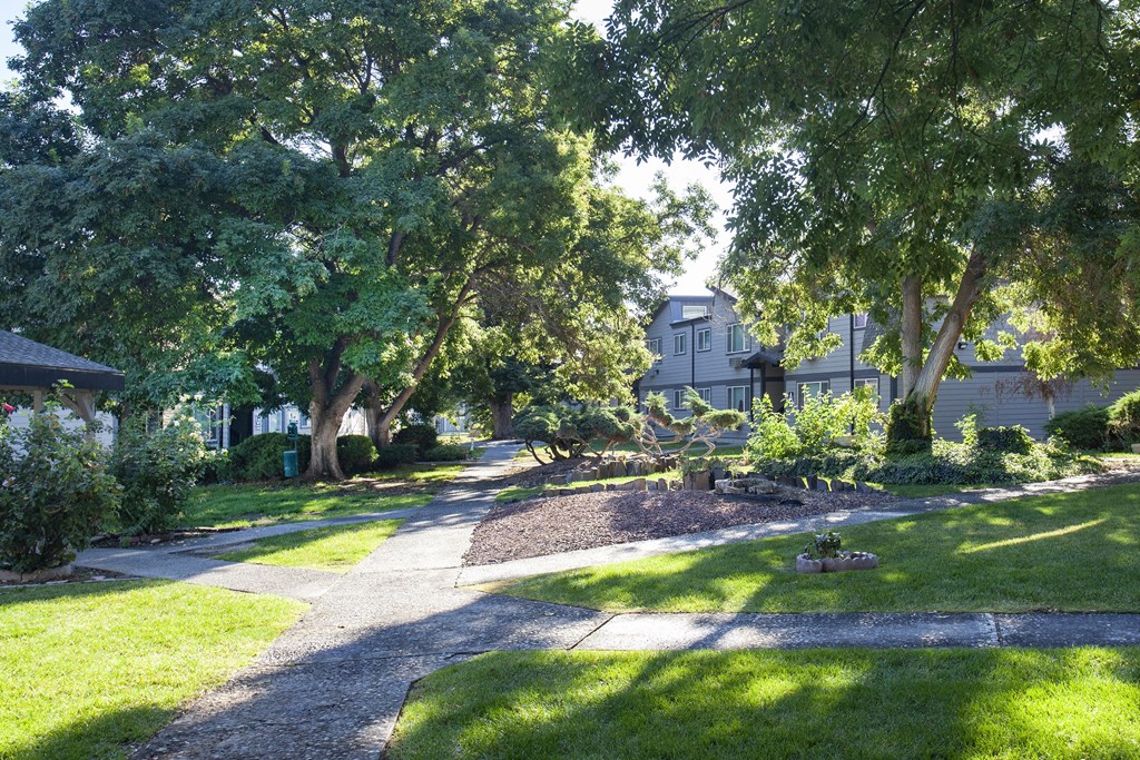 a walkway through a neighborhood with trees and houses