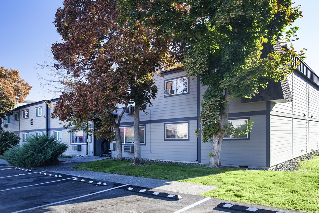 a white house with a yard and trees in front of it