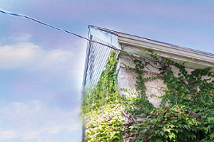 The Binford | Ivy Clad Building