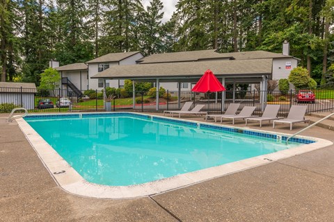our apartments showcase a swimming pool