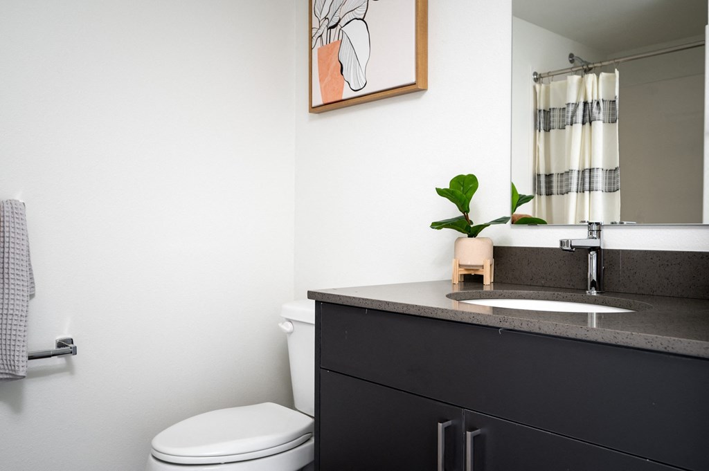 a bathroom with a sink and a toilet and a mirror