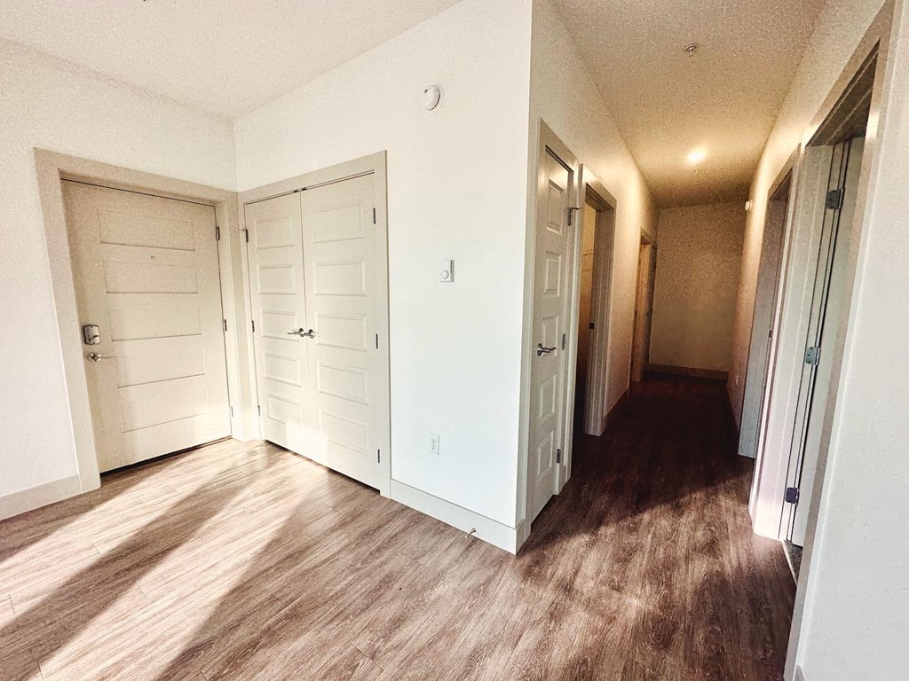 a room with a wall filled with pink and purple lights