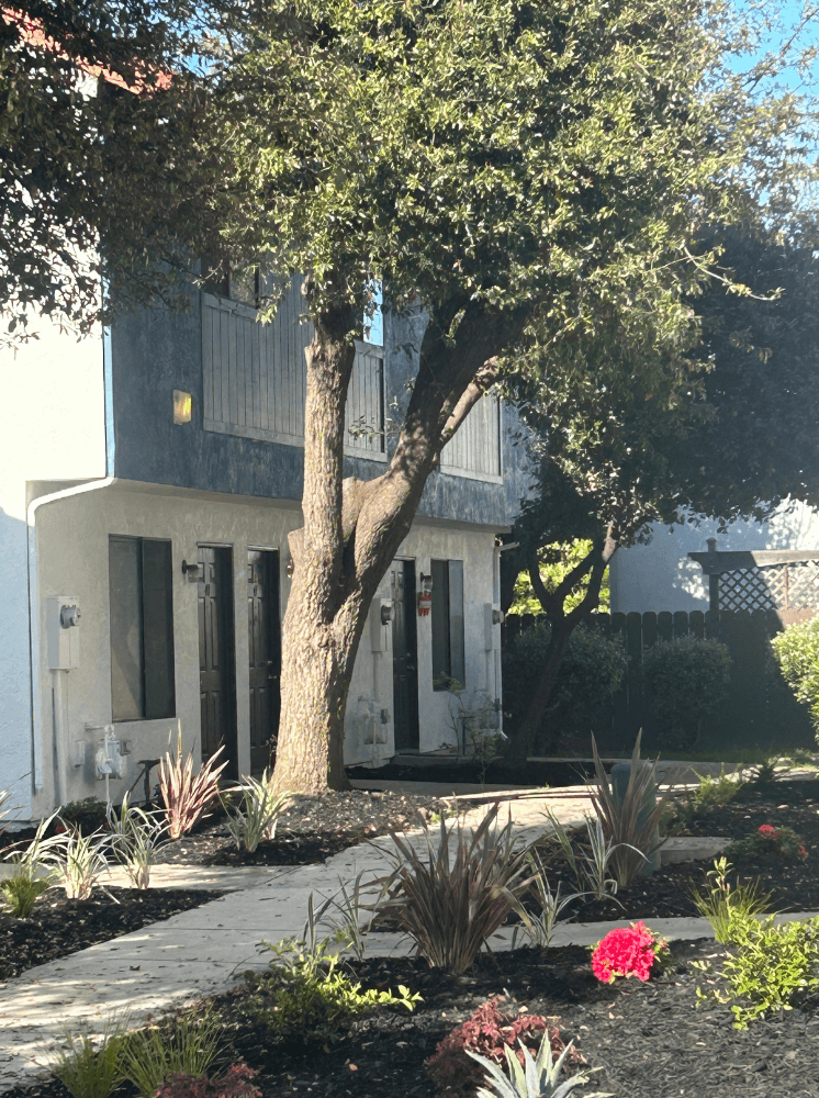 a house with a tree and a sidewalk in front of it