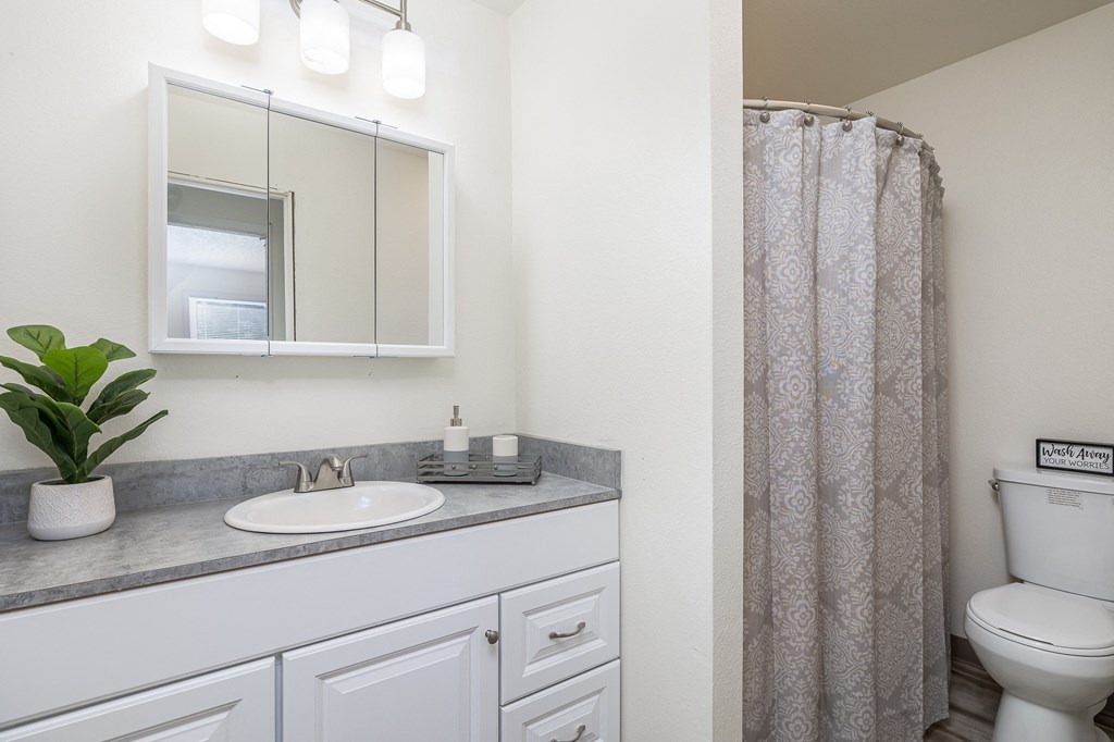 a bathroom with a sink and a toilet and a shower