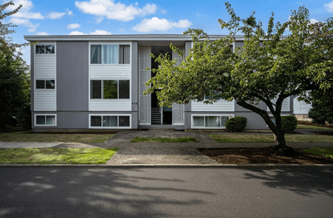 A tree is in front of a grey building.