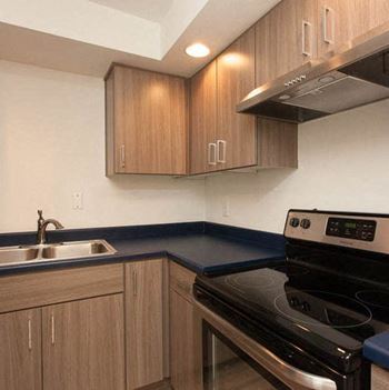 Navy Blue Countertops