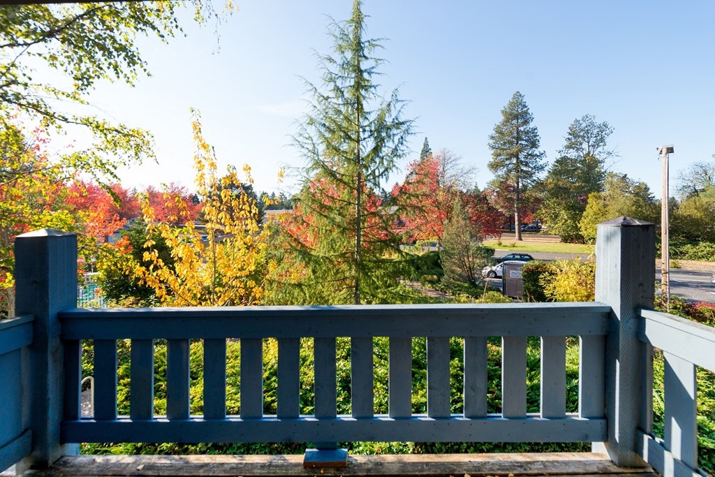 a view of a park with trees and a bench