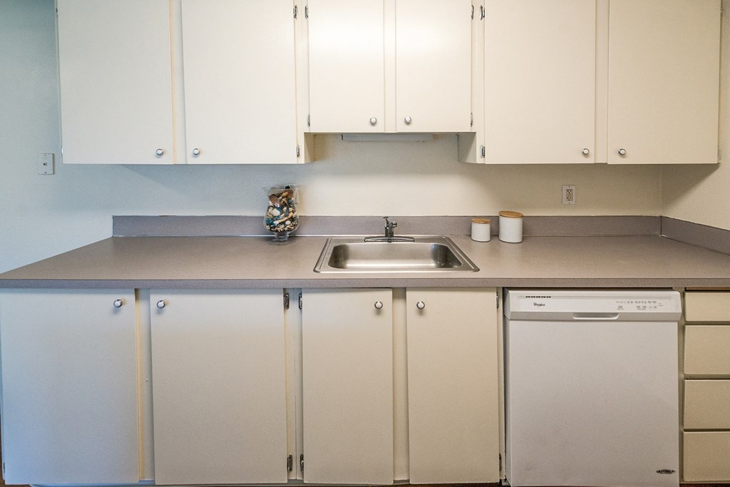 a kitchen with white cabinets and a sink and a dishwasher