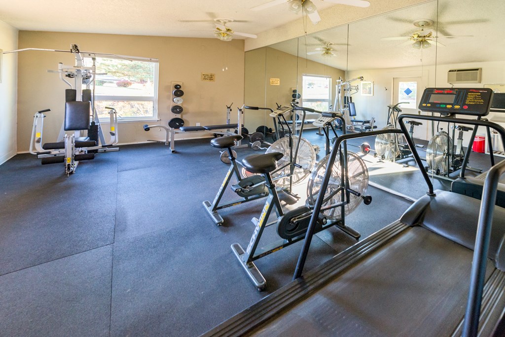 a gym with weights and cardio equipment in a building