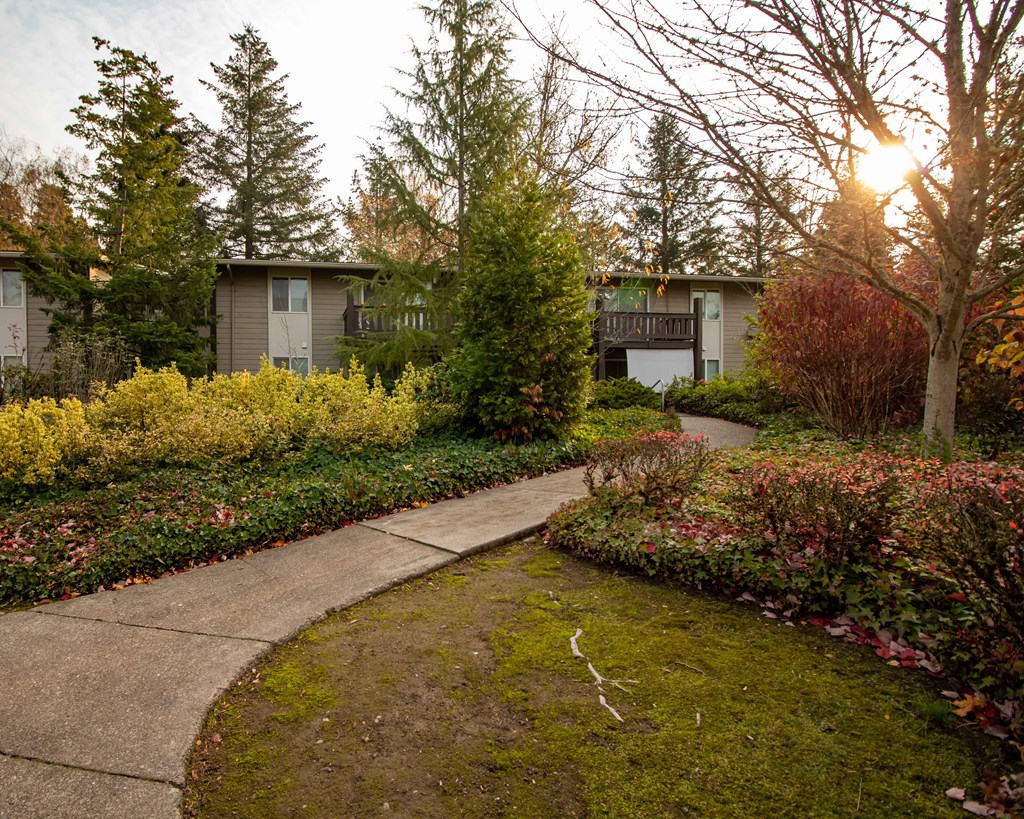 a sidewalk in front of a house with trees and bushes