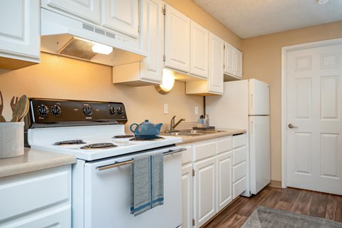 a kitchen with a stove and a sink and a refrigerator
