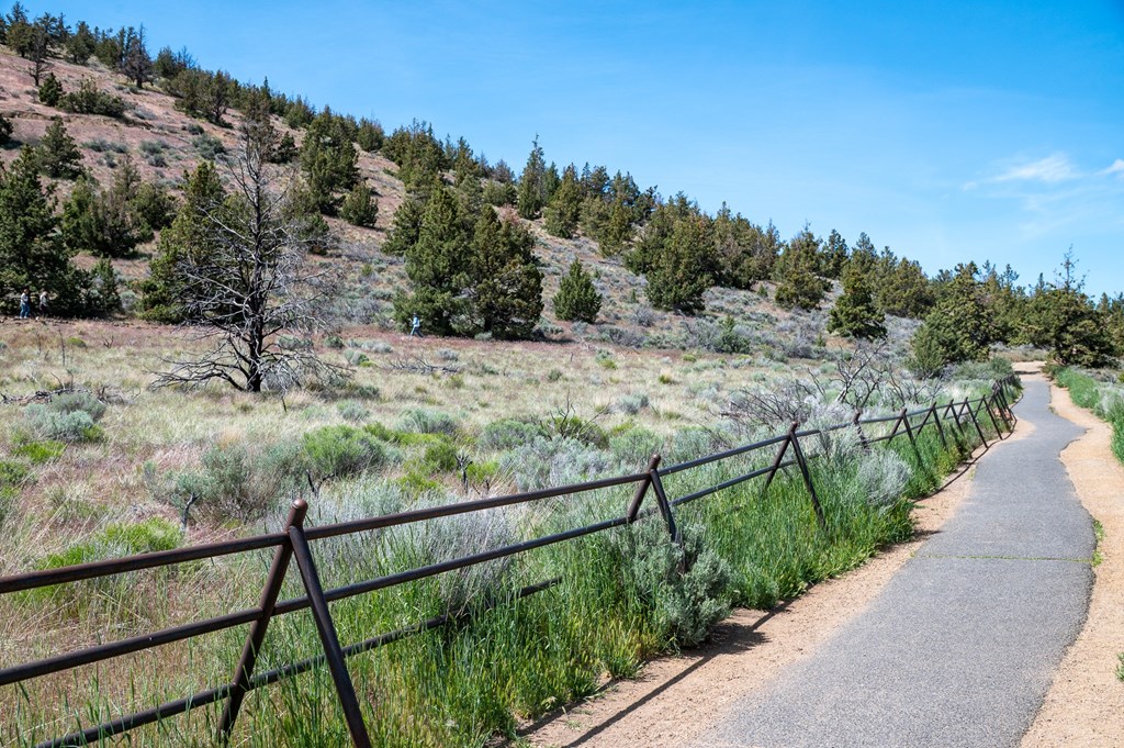 A pathway with a fence on the side and trees on the hill.