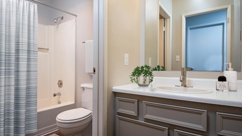 A bathroom with a toilet, sink, and mirror.