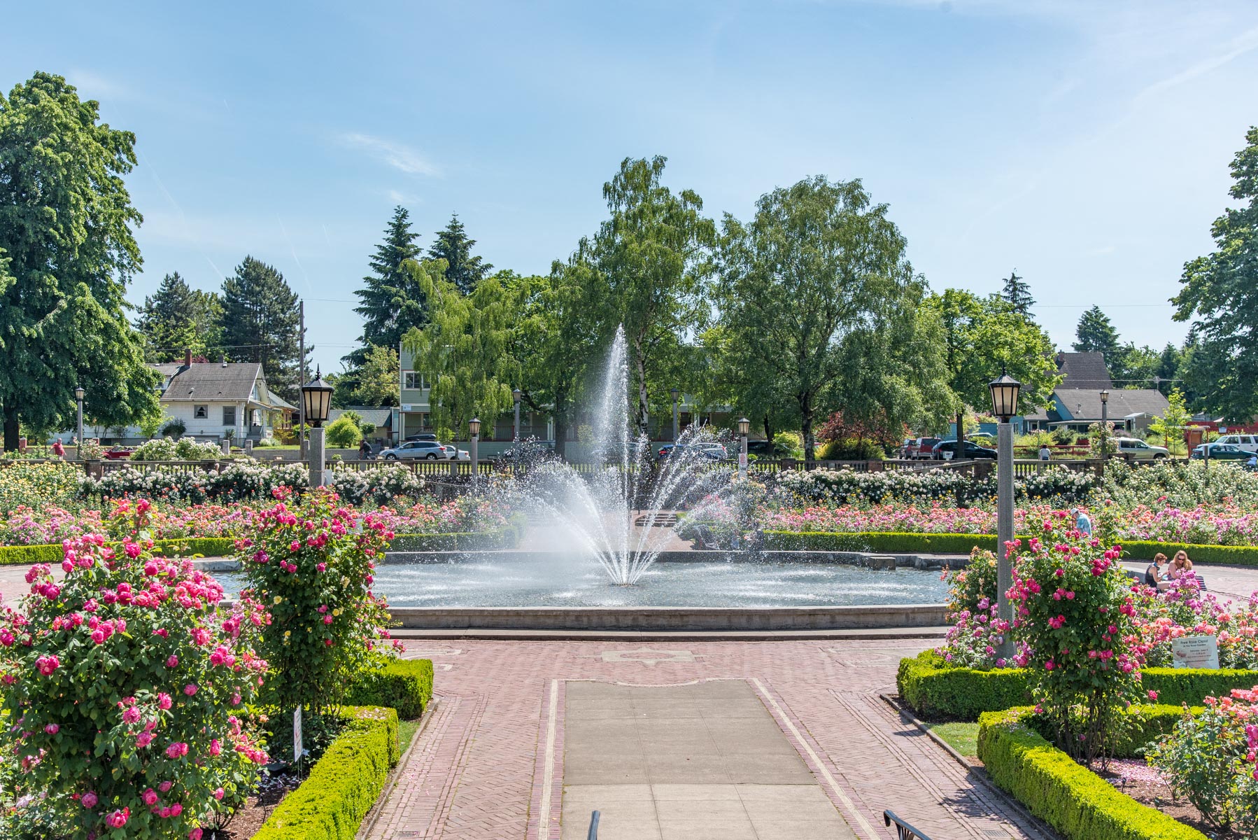 Claudia Arms | Peninsula Park | Portland, OR