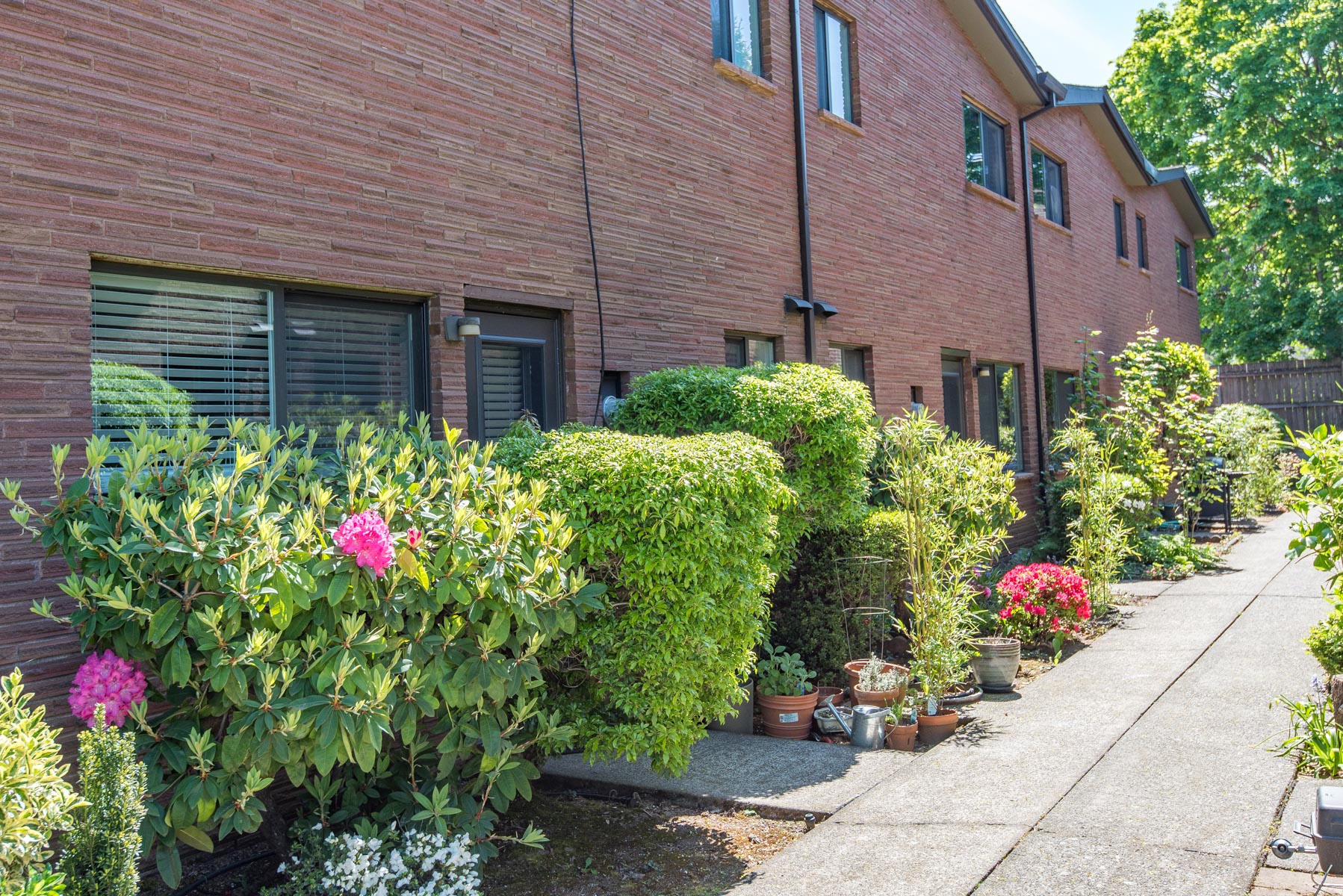 Claudia Arms | Portland, OR