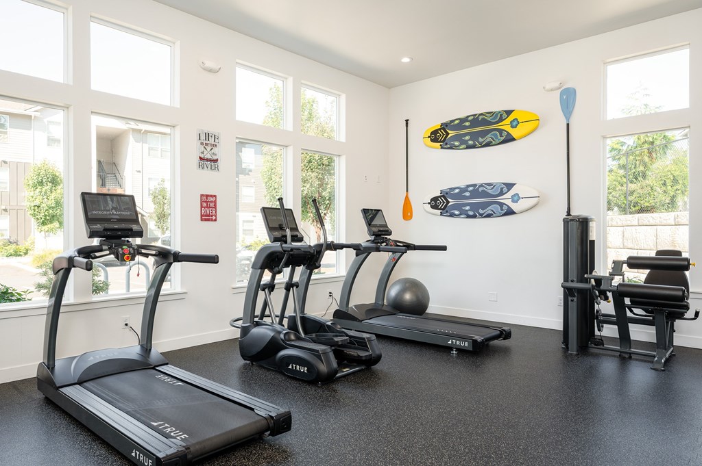 A gym with treadmills, exercise bikes, and surfboards on the wall.