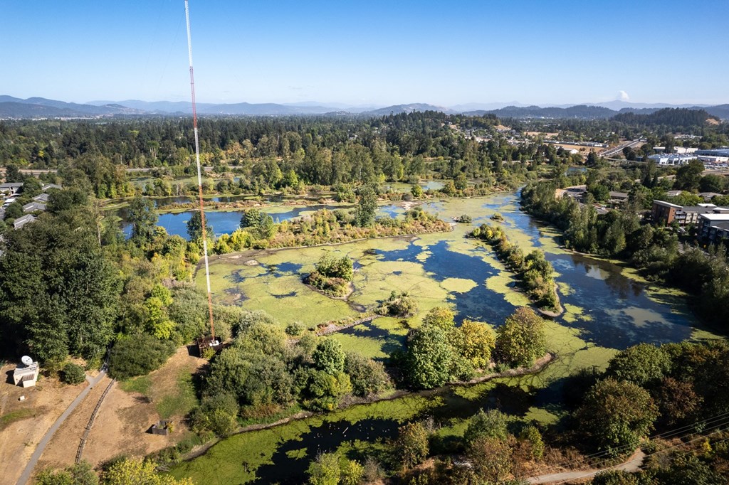 an aerial view of the river and the city