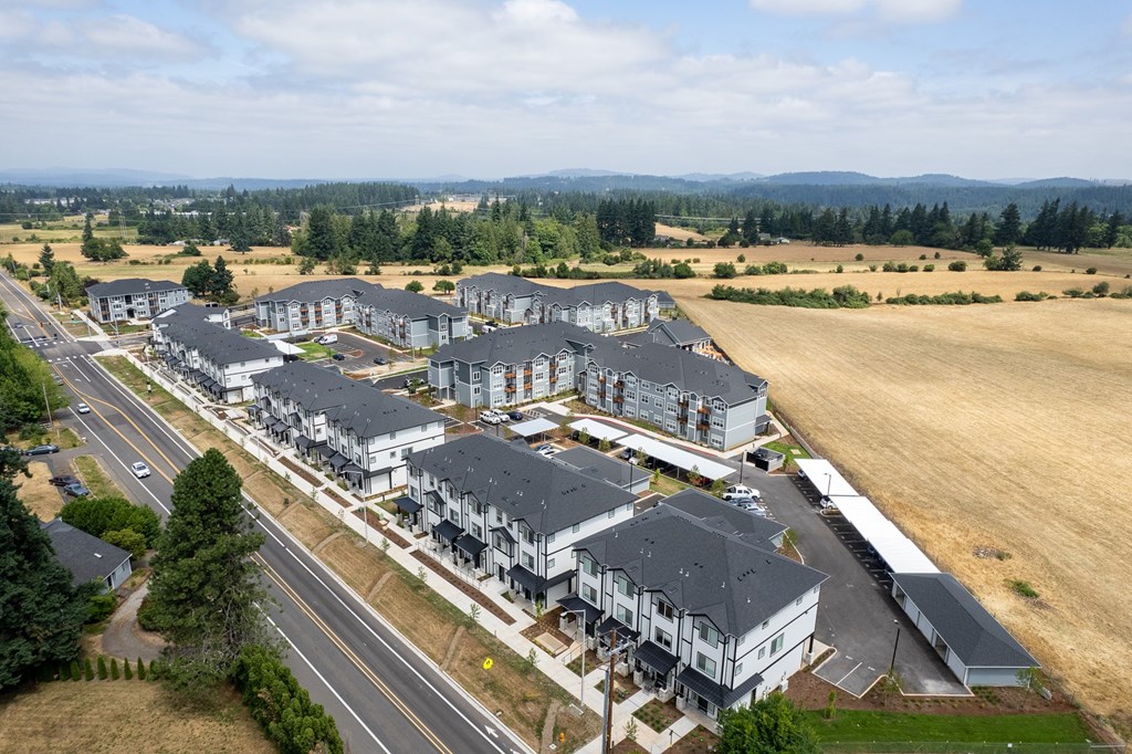 A large housing development with multiple houses and a road running through it.