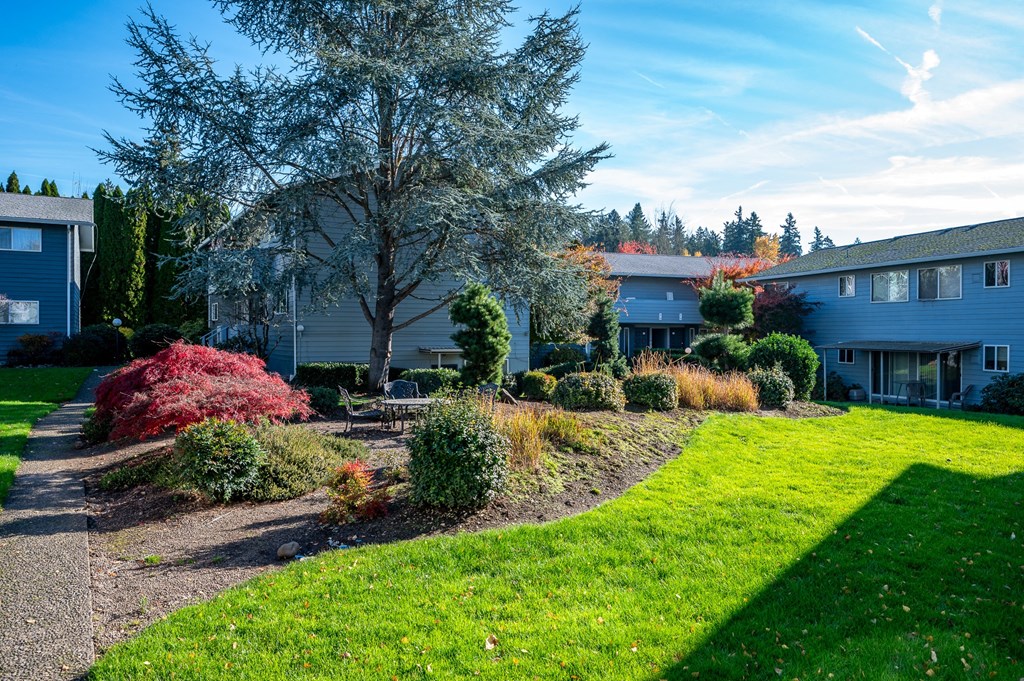 a view of a yard with a house and a lawn