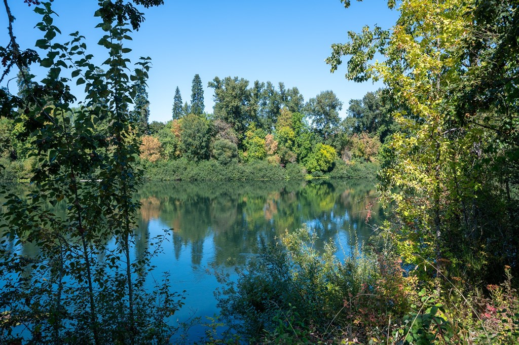 A serene lake surrounded by lush greenery and trees.