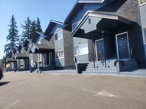 A row of houses with grey and black exterior.