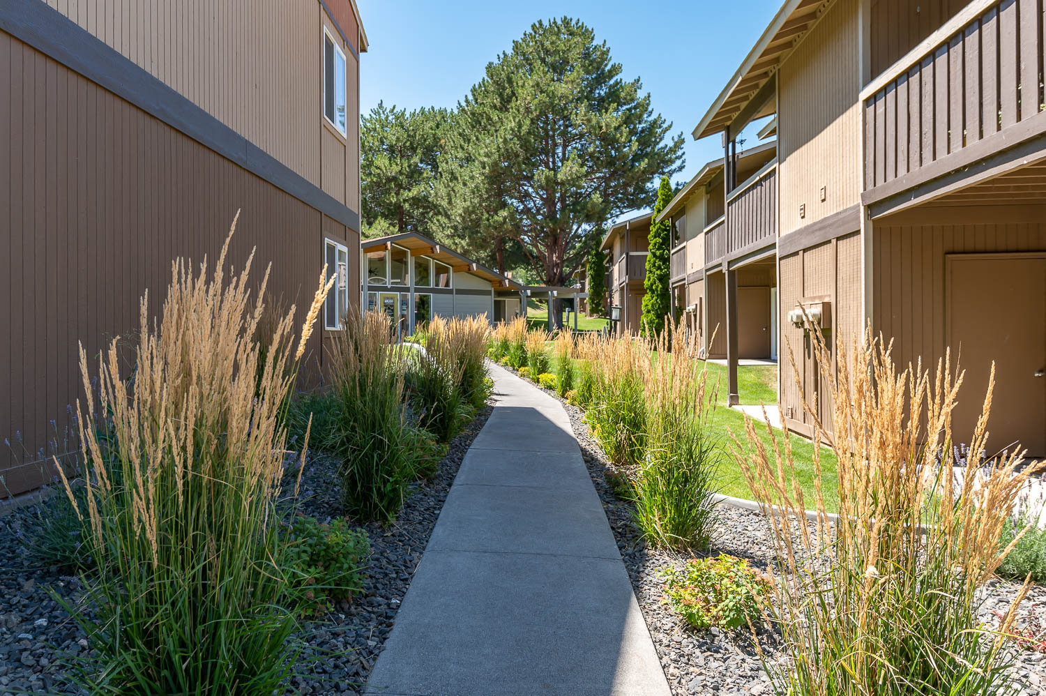 Exterior Building and Walkway