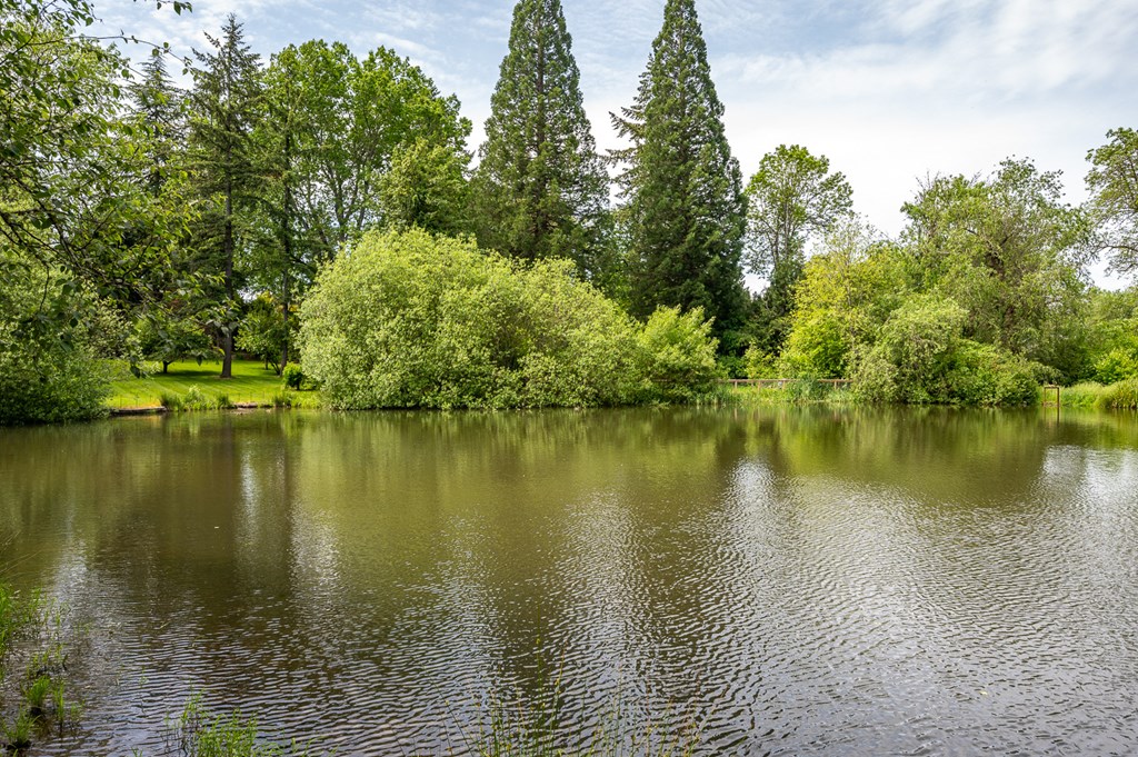 a body of water with trees on the other side of it