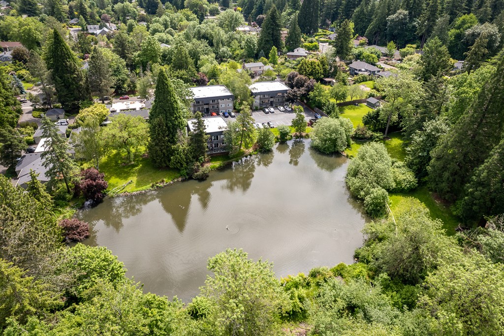an aerial view of a body of water surrounded by trees