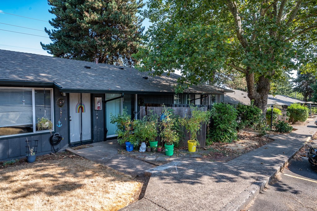 a blue house with potted plants in front of it