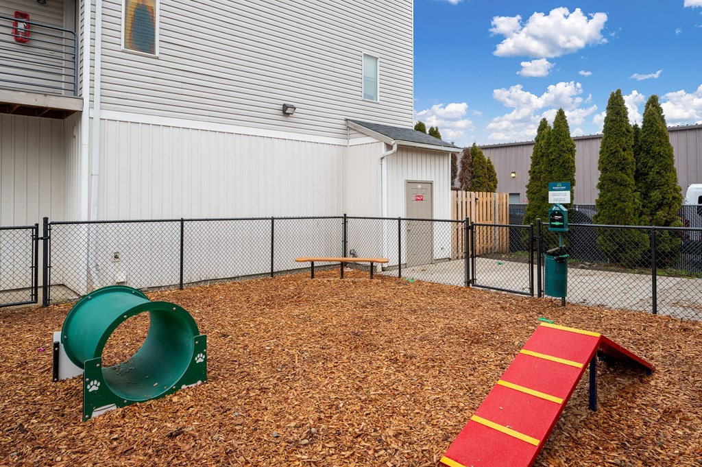 A dog park with a green slide and red slide.