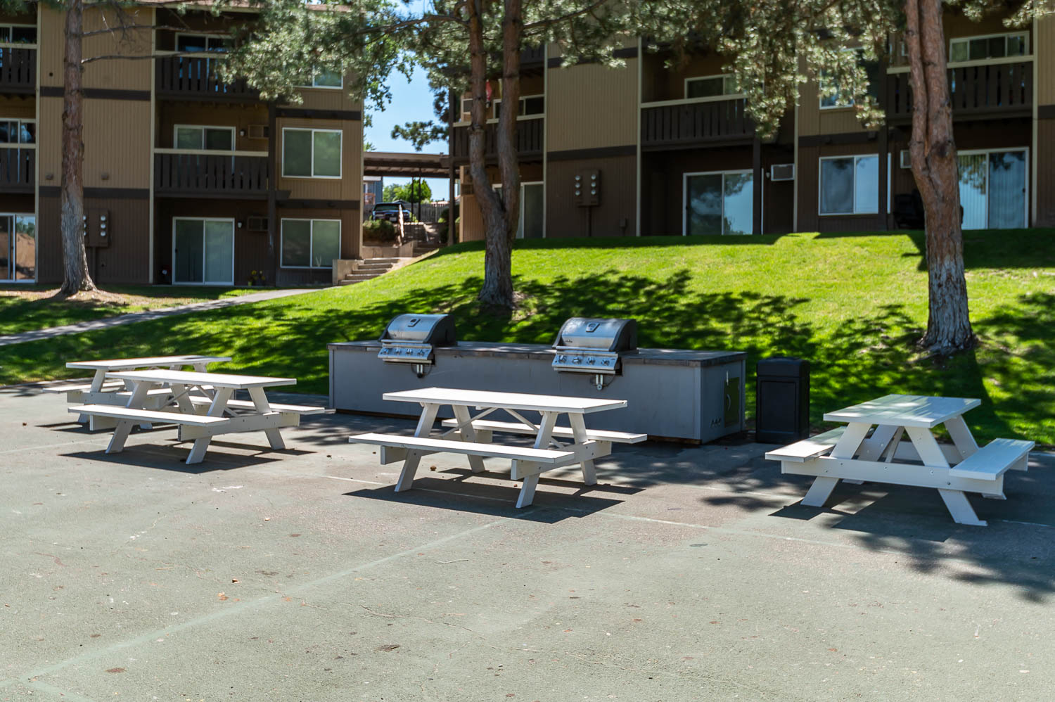 BBQ area and picnic tables
