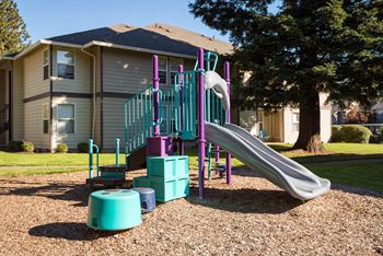 a playground with a slide in front of a house