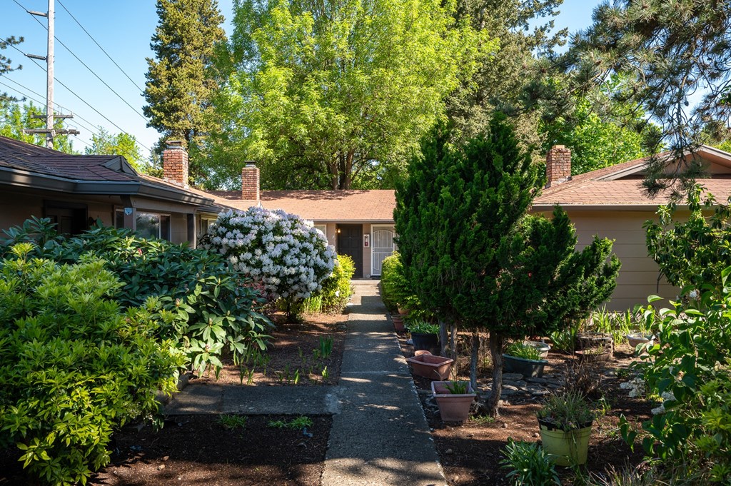 the front yard of a house with a sidewalk and potted plants