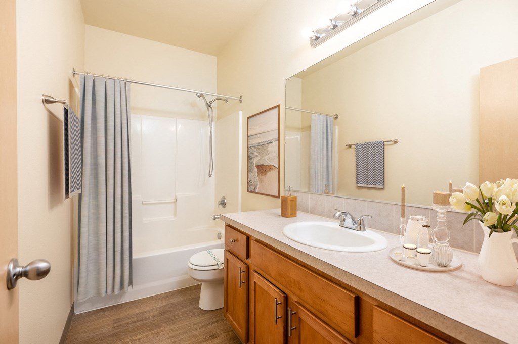 a bathroom with a sink and a shower and a toilet