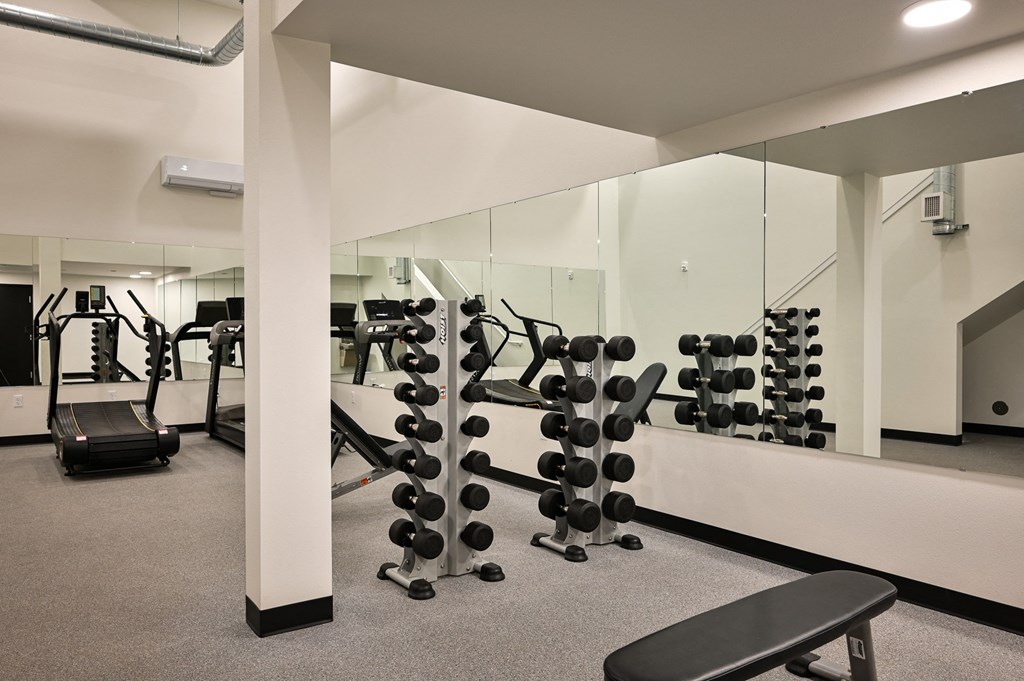 a gym with weights and mirrors on the wall