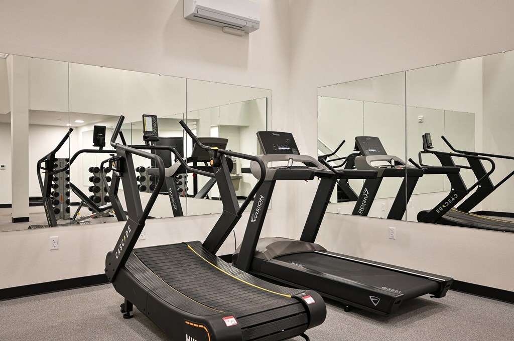 a row of treadmills and other exercise equipment in a gym
