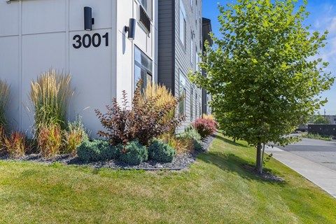 A tree is next to a building with the number 3001 on it.