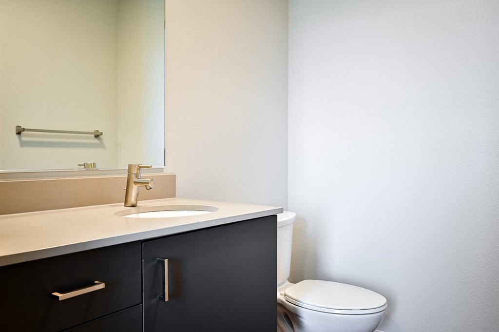 a bathroom with a toilet and a sink and a mirror
