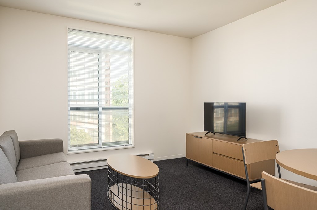 A living room with a grey sofa, a wooden coffee table, a television and a window.