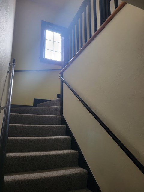 A staircase with a carpeted runner and wooden handrail.