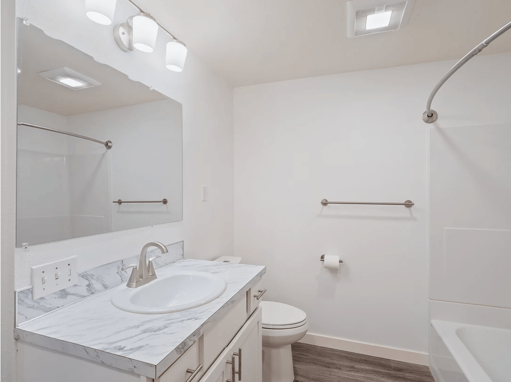 a bathroom with a sink and a toilet