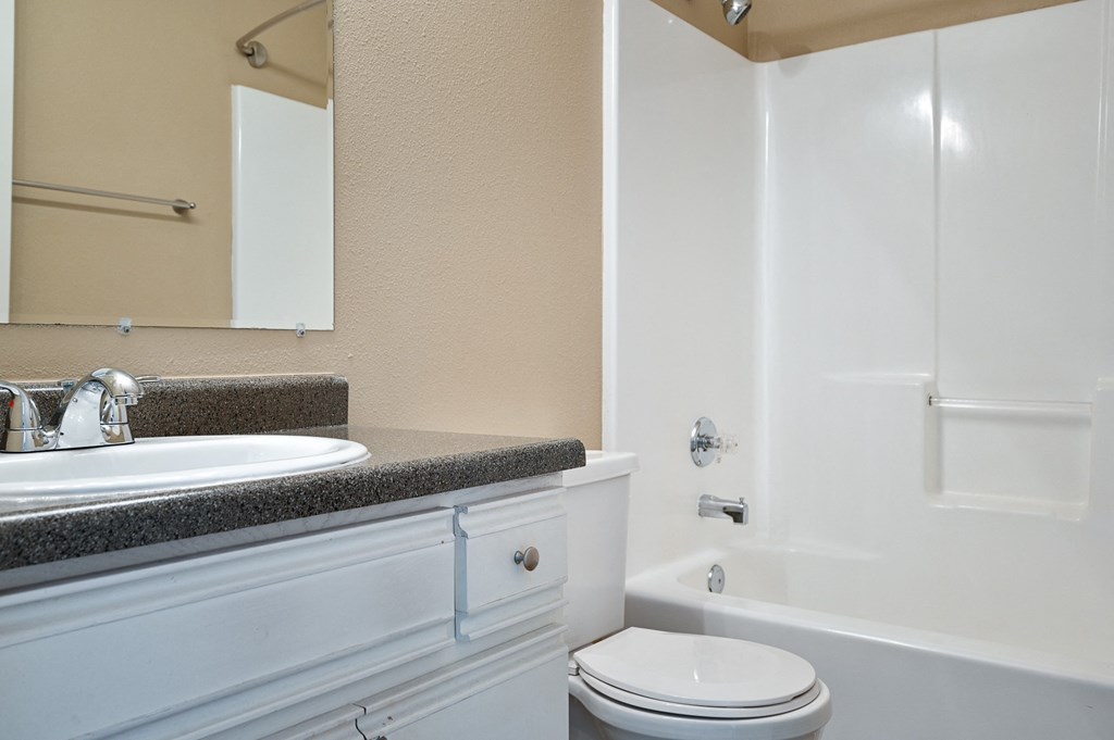 a bathroom with a sink and a toilet and a shower