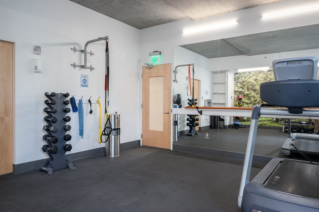a gym with a treadmill and weights on the wall