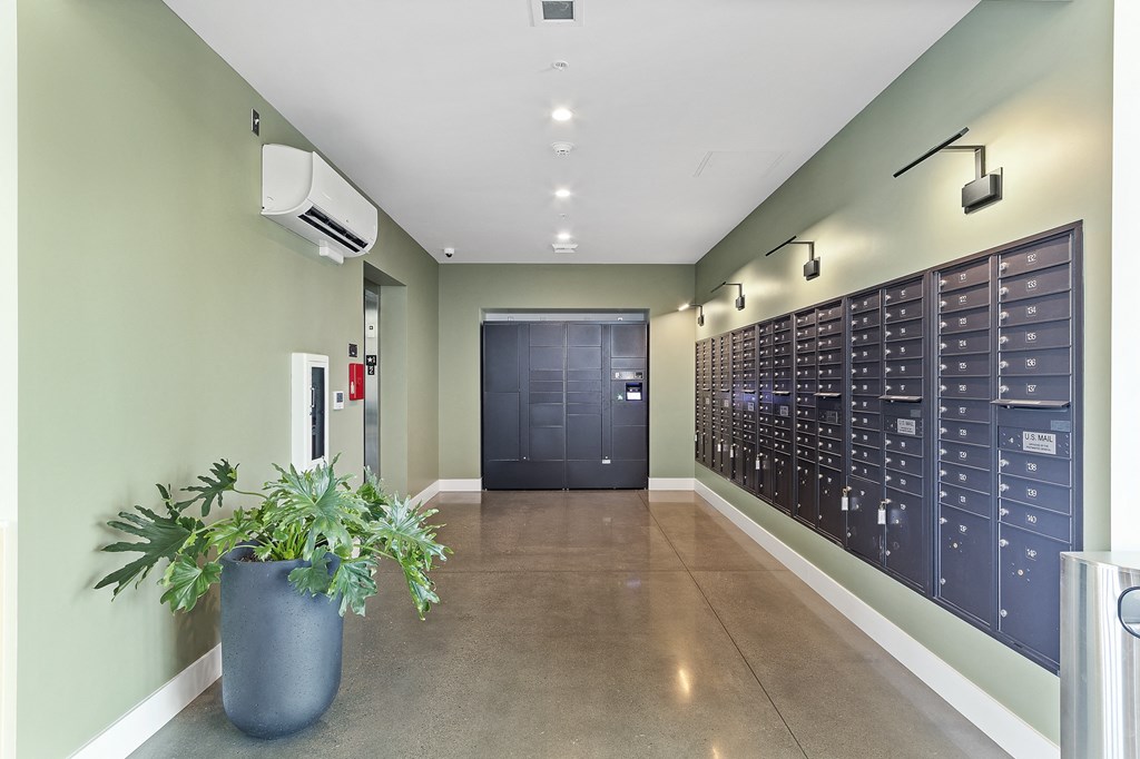a view of a hallway with a large potted plant in front of a lockers