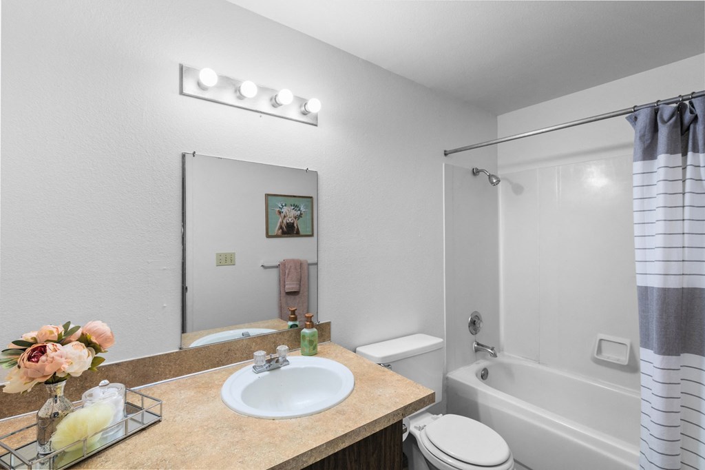 a bathroom with a sink and a shower and a tub