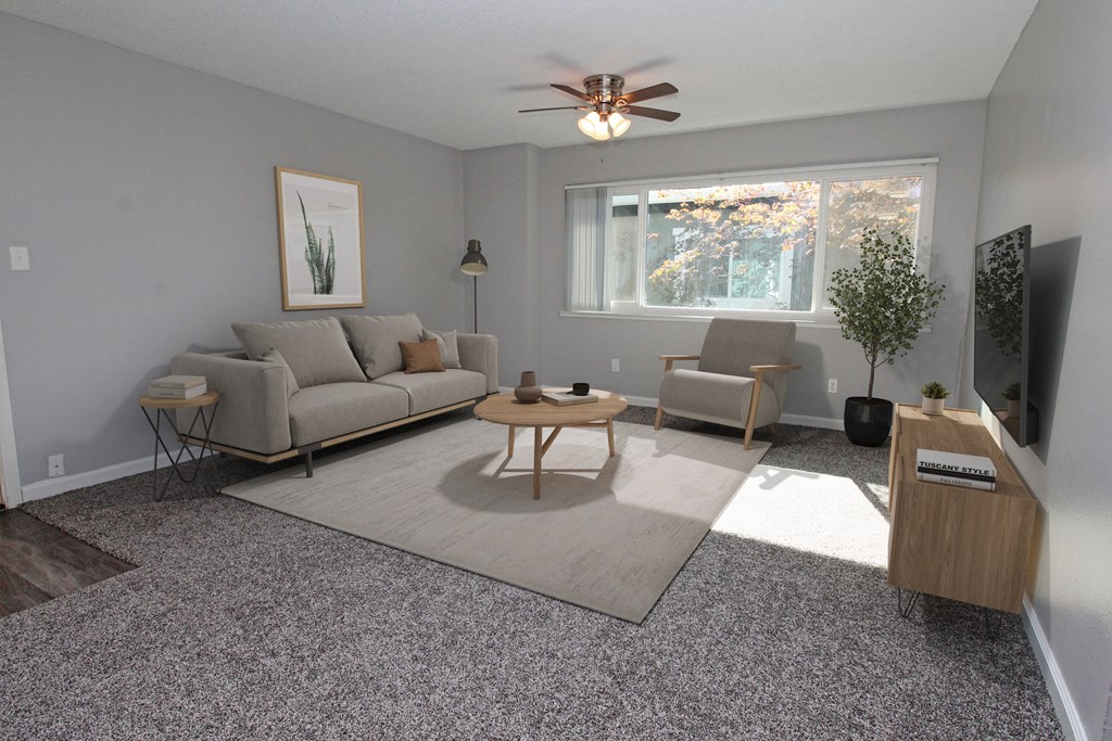 The Canopy | Living Room