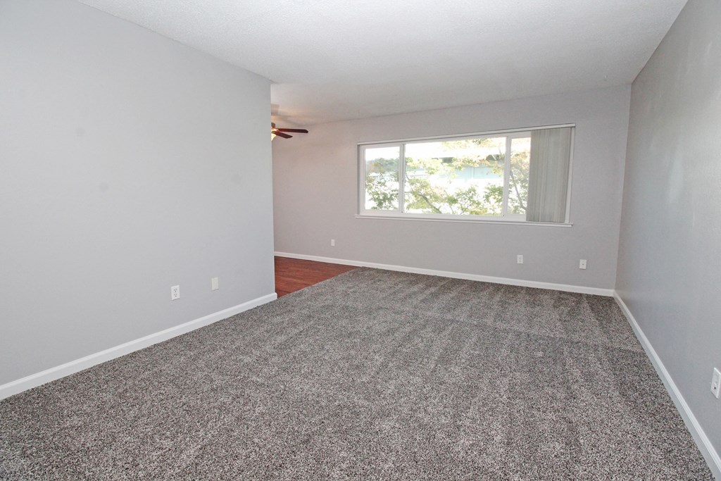 an empty room with carpet and a window